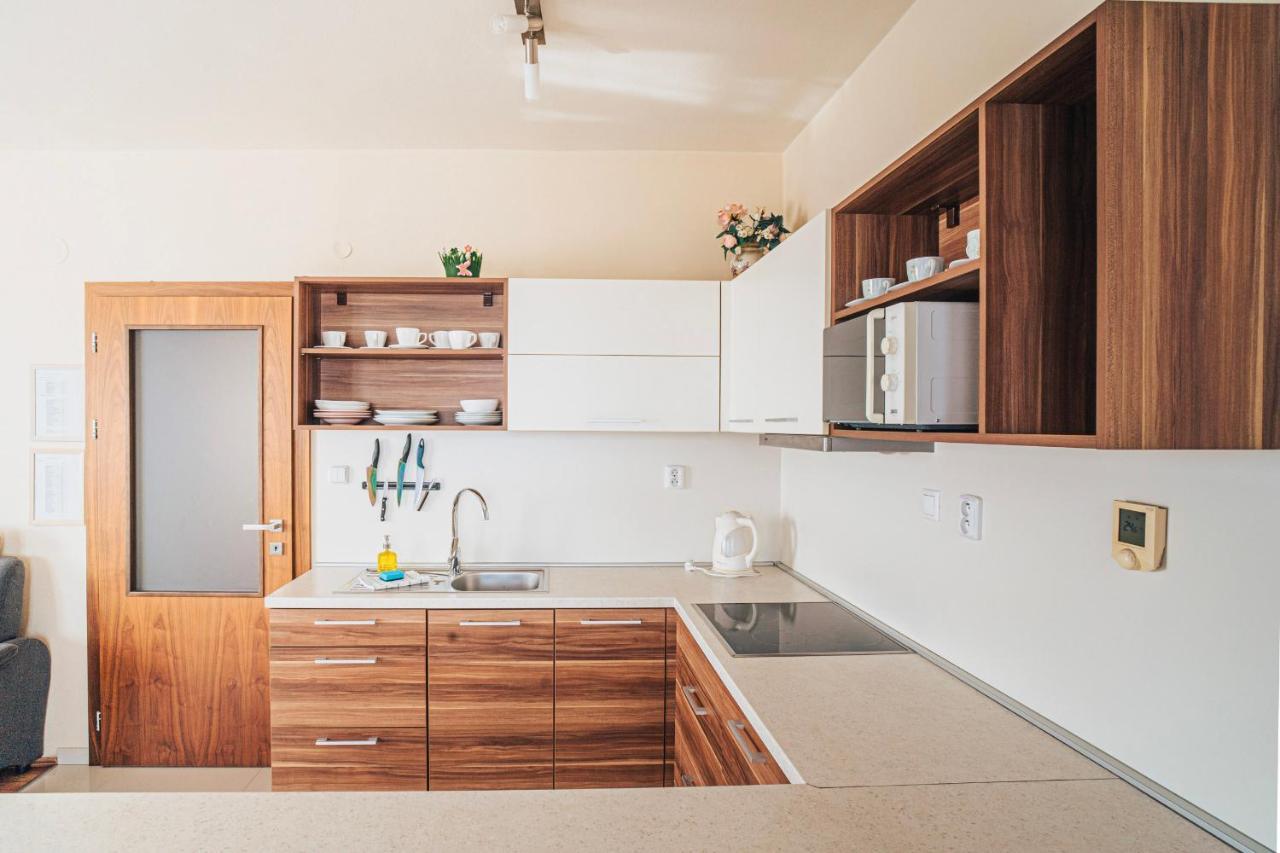Apartman Nelka - Velka Lomnica エクステリア 写真